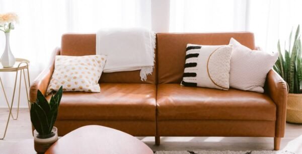 Brown Sofa